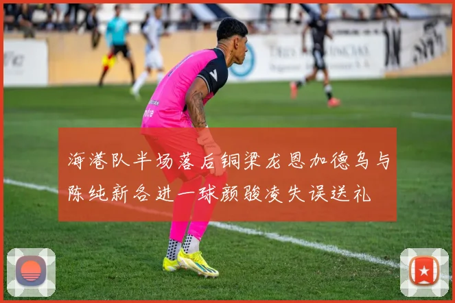 海港队半场落后铜梁龙恩加德乌与陈纯新各进一球颜骏凌失误送礼