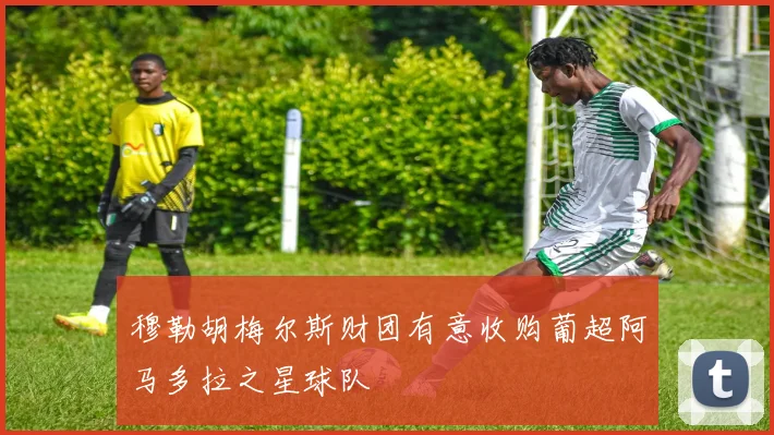 穆勒胡梅尔斯财团有意收购葡超阿马多拉之星球队